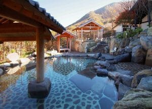 こんだ薬師温泉　ぬくもりの郷の写真
