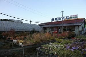伴園芸の写真
