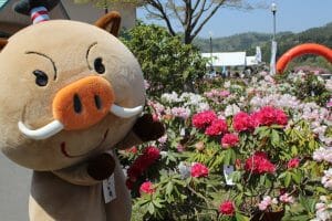 4/19(土)にしきシャクナゲまつり／シャクナゲ公園の写真