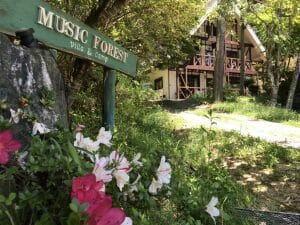 MUSIC FOREST貸別荘&キャンプ場の写真